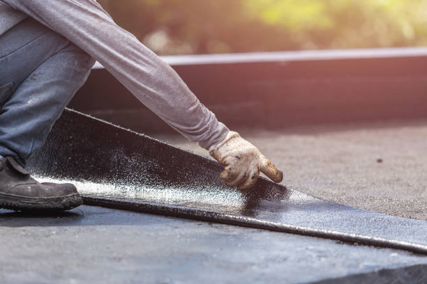 Professional Interior Drainage System technician working in San Castle, FL